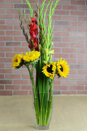 Sturdy Tapered Rectangle Clear Glass 11-3/4" Vases