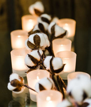 Eastland Grande Votive Candle Holder Frosted Set of 288