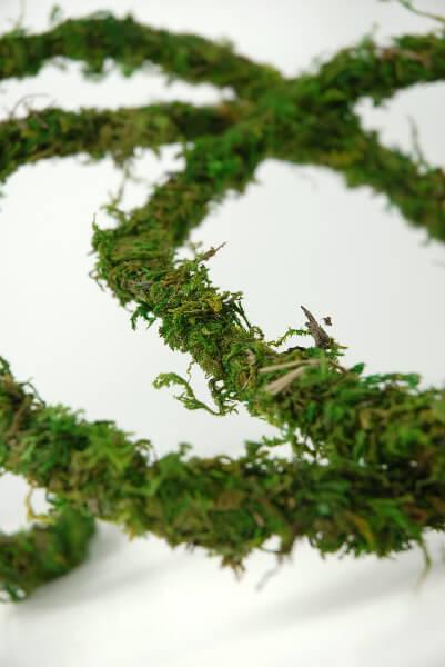 moss vine preserved 12ft - thumbnail number 2