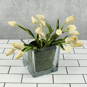 variegated aspidistra ti leaf floral ribbon 4in x 50 yards