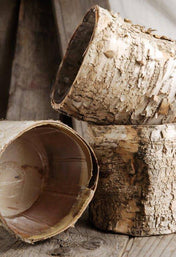 birch bark planter 4 75 pot w plastic liner - thumbnail number 3