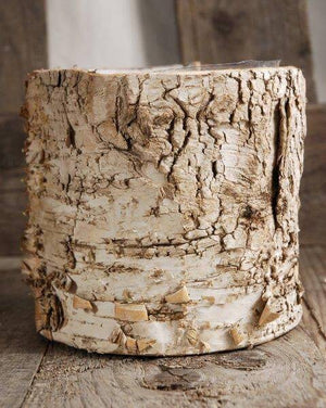 Birch Bark Planter 4.75" Pot w/ Plastic Liner
