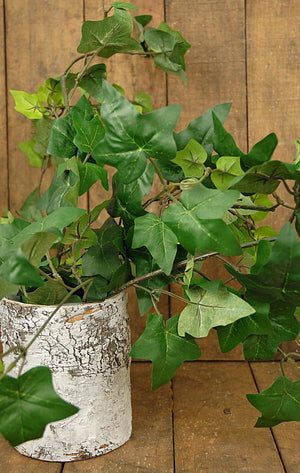 White Birch Bark Cylinder Vase 6in