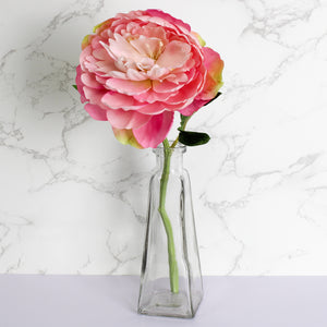 Clear Glass 6 oz. Pyramid Glass Bottle 7"