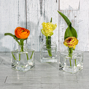 Richland Glass Bud Vase Square