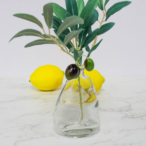 Richland Boho Teardrop Glass Bottle 4.5" Set of 12