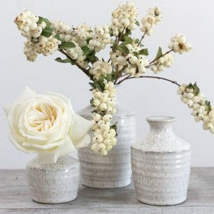 Richland Hari Budvase 3.25" x 4.5" Set of 12