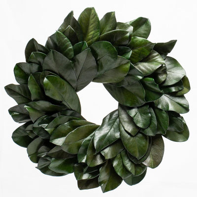 Richland Preserved Magnolia Wreath 17" Set of 6 - thumbnail number 1