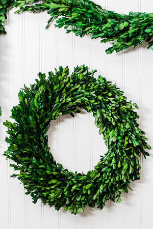 Richland Preserved Boxwood Wreath 17” Set of 6