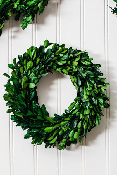 richland preserved boxwood wreath 8 set of 12 - thumbnail number 3