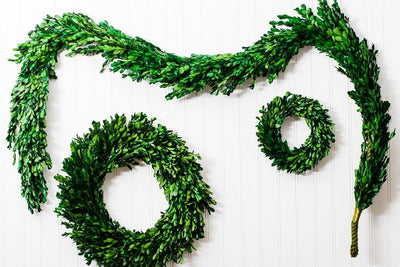 richland preserved boxwood garland 70 - thumbnail number 2