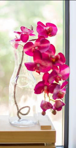 Richland 8" Milk Bottle Vase Set of 6