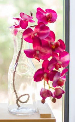 Richland 8" Milk Bottle Vase Set of 12