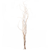 Curly Willow Tree Branch Bundle, 3-4 Feet - thumbnail number 3
