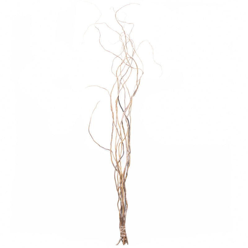 Curly Willow Tree Branch Bundle, 3-4 Feet - thumbnail number 3