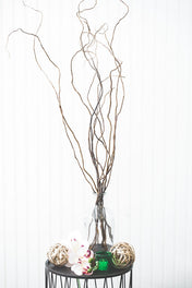 Curly Willow Tree Branch Bundle, 3-4 Feet - thumbnail number 1