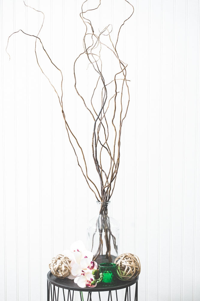 Curly Willow Tree Branch Bundle, 3-4 Feet - thumbnail number 1