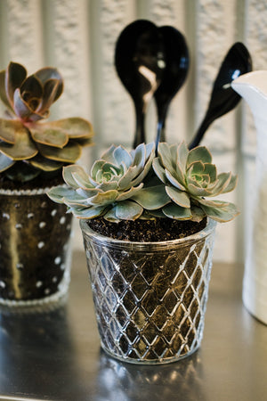 Richland Tipper Vase & Candle Holder Set of 24