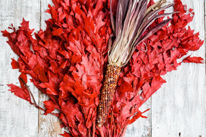 preserved red oak branches