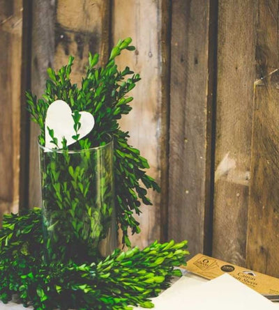 Richland Preserved Boxwood Garland 70" - thumbnail number 3