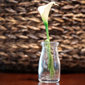Richland Rhea Bud Vase Set of 48 - thumbnail number 3