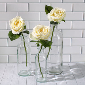 Richland Apothecary Glass Bottle 8" Set of 12