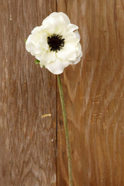 Cream White Silk Anemone Flowers 15in - thumbnail number 1