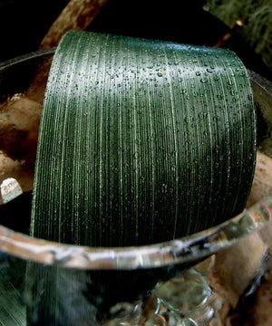 Variegated Aspidistra Ti Leaf Floral Ribbon 4in x 50 yards