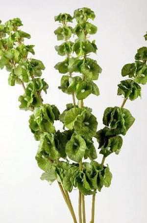 Silk Bells of Ireland 5 Stems 21in