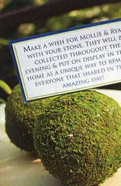 Natural Moss Balls 2 Inch (6 balls) - thumbnail number 2