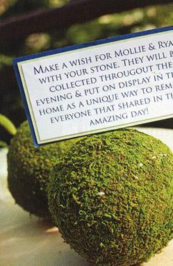 Natural Moss Balls 2 Inch (6 balls)