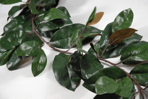 Deluxe Magnolia Leaf Garland 6' 109 leaves