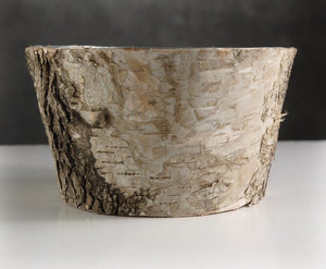 Natural Birch Bark Zinc Pot Planter 6x3
