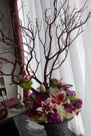 Manzanita Branches Red Bark 16-18in