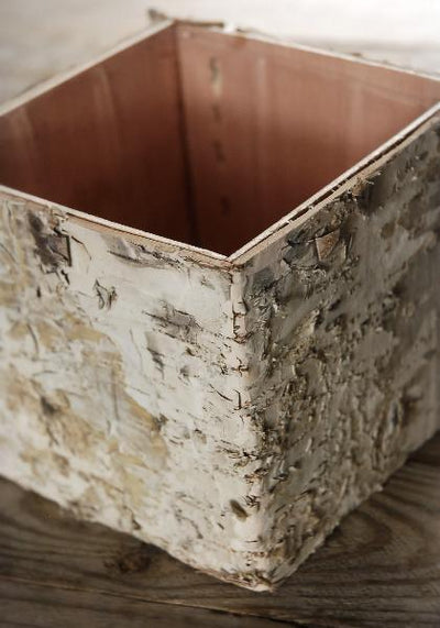 Birch Bark Square Pot w/Liner 4.5x5