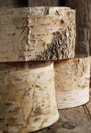 birch bark planter pot 6 5x 3 5 inch