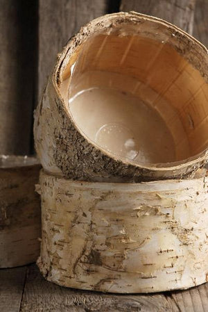 Birch Bark Planter Pot 6.5x 3.5 Inch