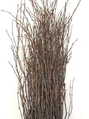 Natural Birch Tree Branches 3-4ft (25 branches) - thumbnail number 1
