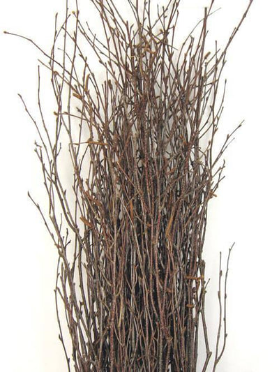 Natural Birch Tree Branches 3-4ft (25 branches) - thumbnail number 1