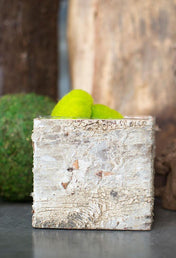 birch bark square pot with liner 5in - thumbnail number 4