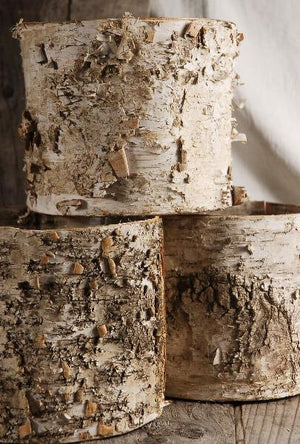 birch bark planter w plastic liner 7x6