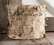 Birch Bark Planter w/ Plastic Liner 7x6 - thumbnail number 2
