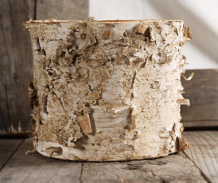 Birch Bark Planter w/ Plastic Liner 7x6 - thumbnail number 2