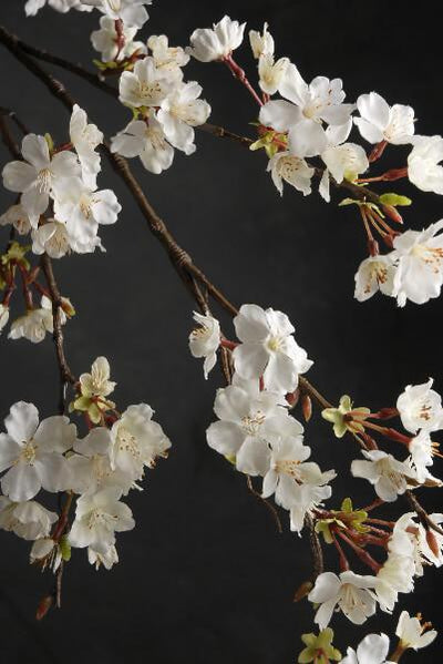 Cherry Blossom Branch 42in White Flowers - thumbnail number 2