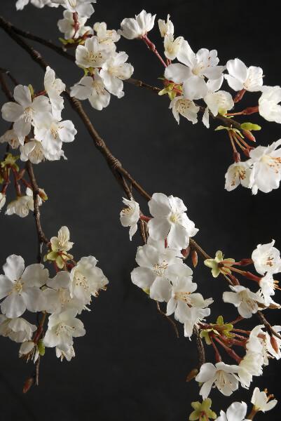 Cherry Blossom Branch 42in White Flowers - thumbnail number 2