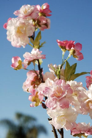 Pink Cherry Blossom Branches 45"