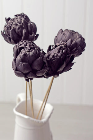 dried chico choke pod stems x5 dark purple