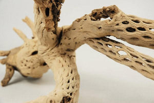 Cholla Wood Branch, 12in