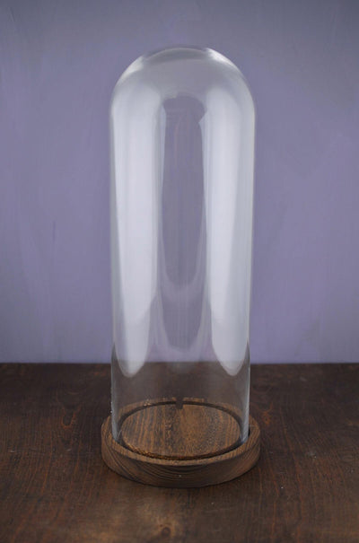 16" Glass Cloche with Wood Base