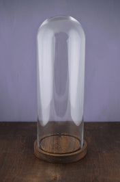 16 glass cloche - thumbnail number 1
